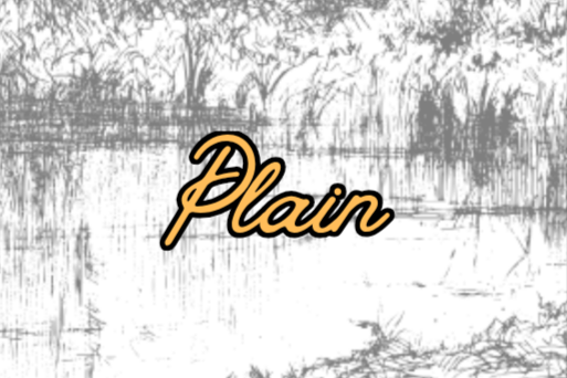 Plain